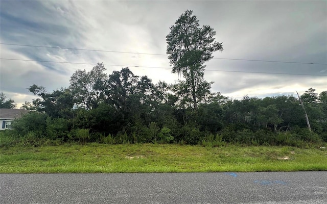 0000 SW 50th Ter, Ocala FL, 34473 land for sale