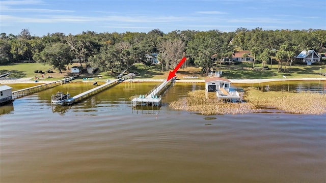 dock area with a water view