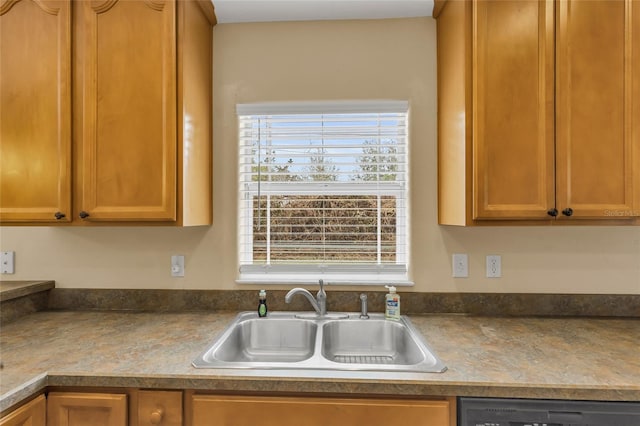 kitchen with dishwasher and sink