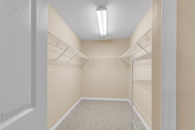 walk in closet with carpet floors