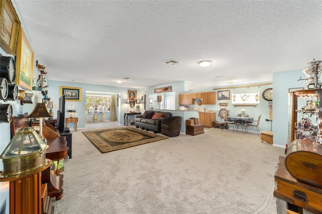 living room with light colored carpet and a textured ceiling