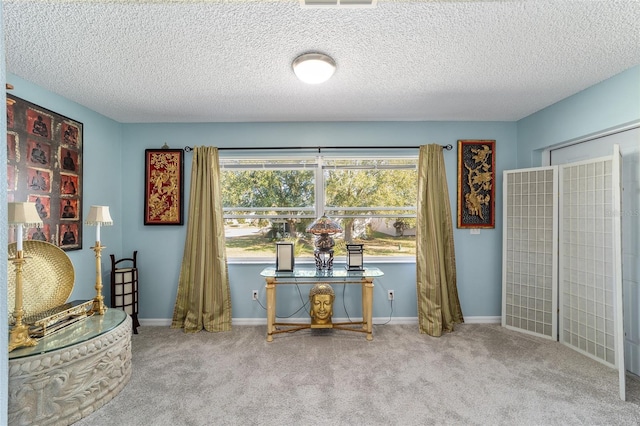 sitting room with carpet floors and a textured ceiling