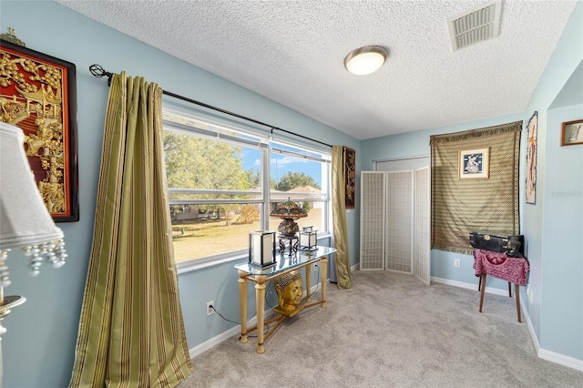 misc room featuring light carpet and a textured ceiling