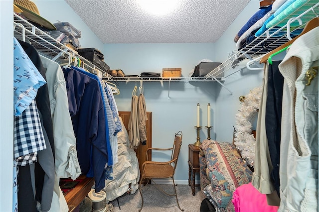 spacious closet featuring carpet flooring