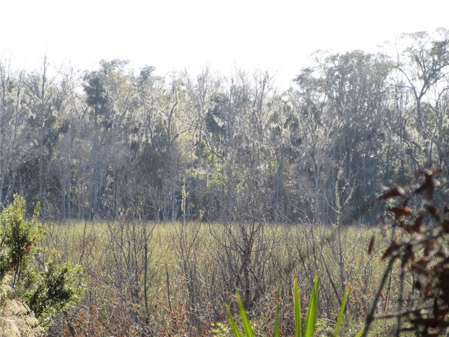 view of local wilderness