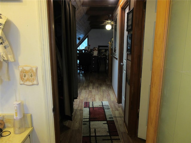 hallway featuring dark hardwood / wood-style flooring