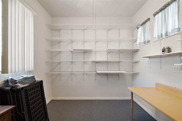 spacious closet featuring dark colored carpet