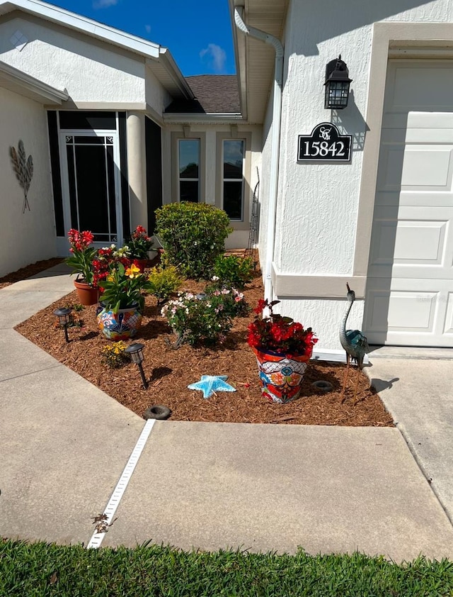 entrance to property with stucco siding