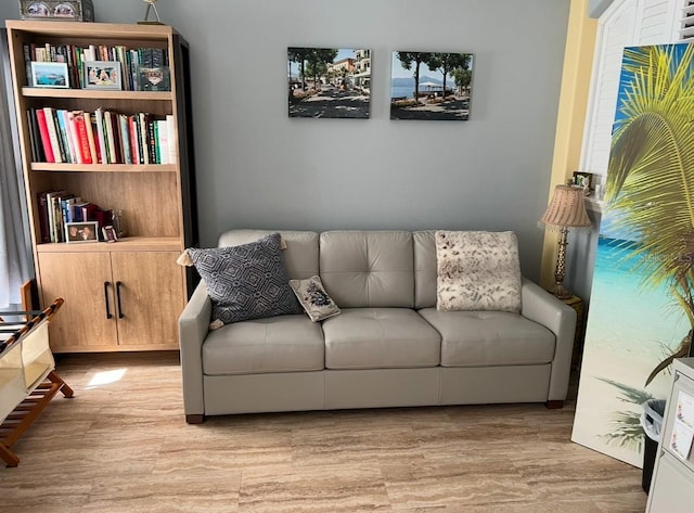 living area featuring wood finished floors