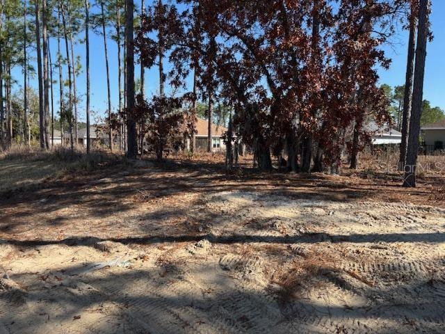 7658 SW 180th Cir, Dunnellon, FL 34432 - photo 17