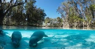 view of swimming pool with a water view