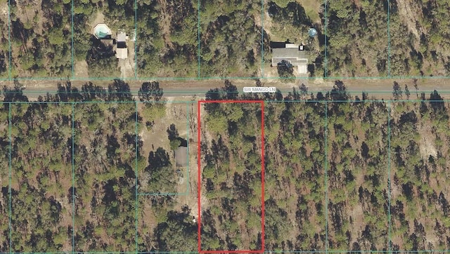 SW Mango Ln, Dunnellon FL, 34431 land for sale