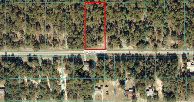 SW Marine Blvd, Dunnellon FL, 34431 land for sale