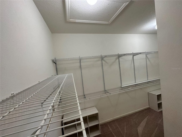 spacious closet with carpet floors