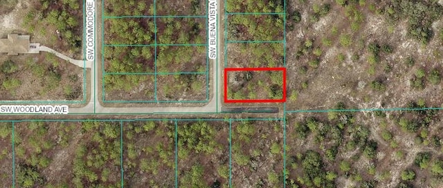 00 SW Buena Vista Rd, Dunnellon FL, 34431 land for sale