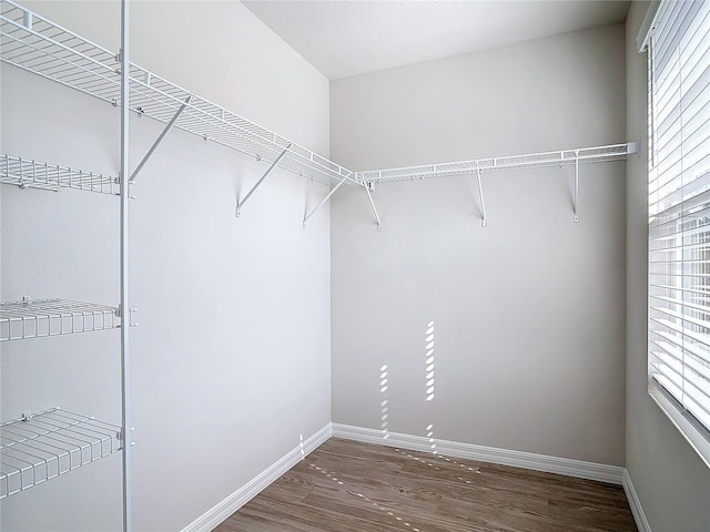 walk in closet featuring dark hardwood / wood-style floors