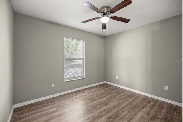 empty room featuring ceiling fan and light wood-type flooring