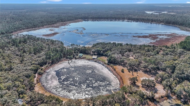 birds eye view of property featuring a water view and a wooded view