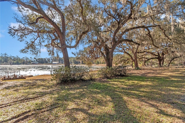 view of yard featuring a water view