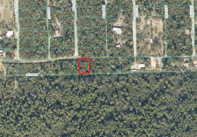 TBD NE 230th Pl, Fort Mc Coy FL, 32134 land for sale