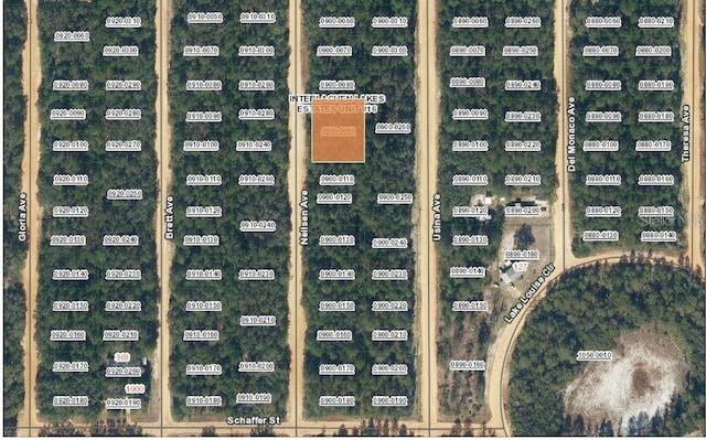 TBD Neilsen Ave, Interlachen FL, 32148 land for sale