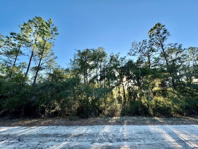 105 Longtree St, Georgetown FL, 32139 land for sale