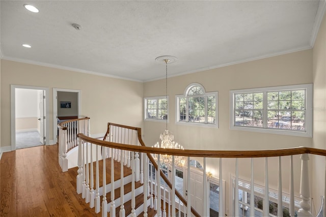 hall featuring crown molding, hardwood / wood-style floors, and a notable chandelier