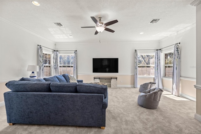 carpeted living room with crown molding, plenty of natural light, and a textured ceiling