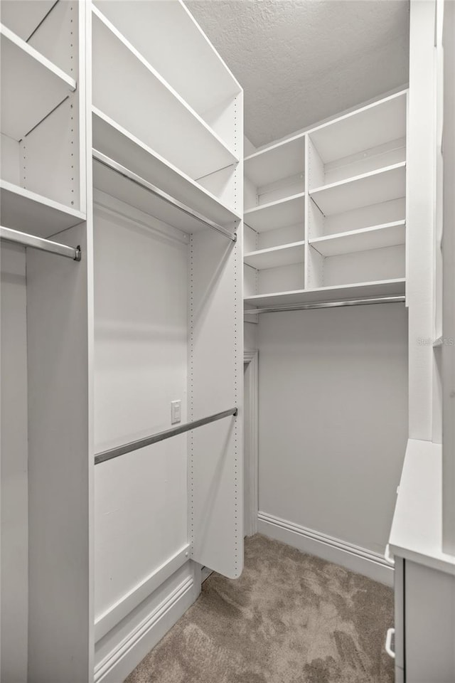 walk in closet featuring carpet