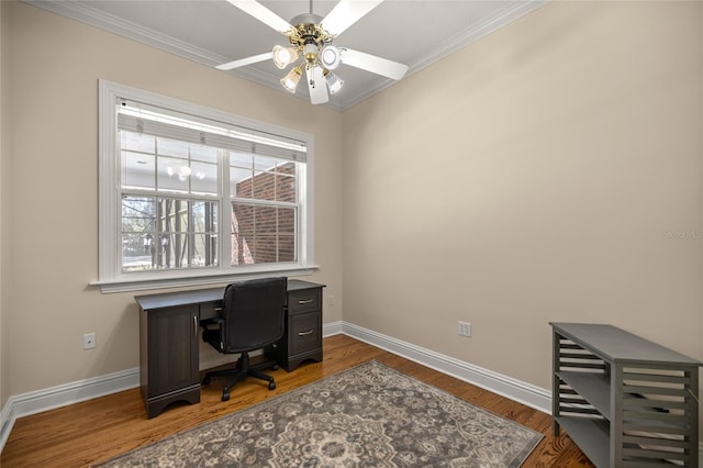 office featuring hardwood / wood-style flooring, crown molding, and ceiling fan