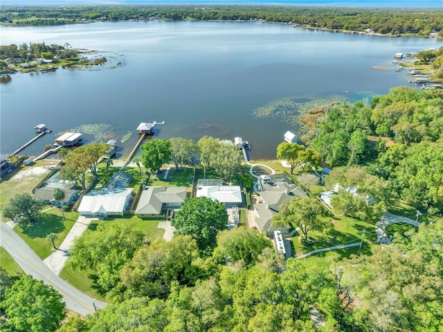 birds eye view of property featuring a water view