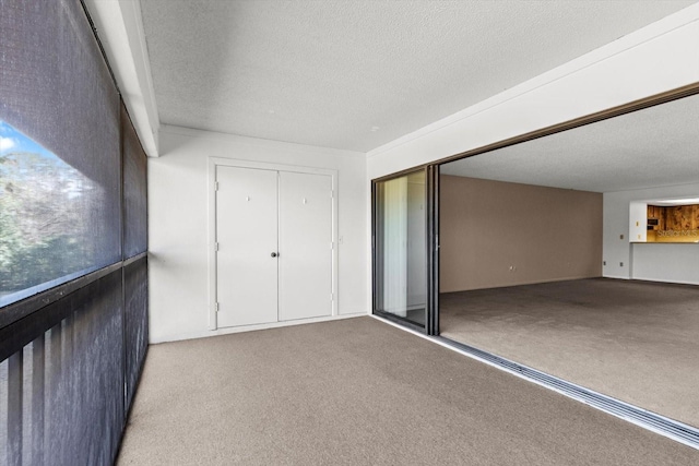 interior space with light carpet, a textured ceiling, and a closet