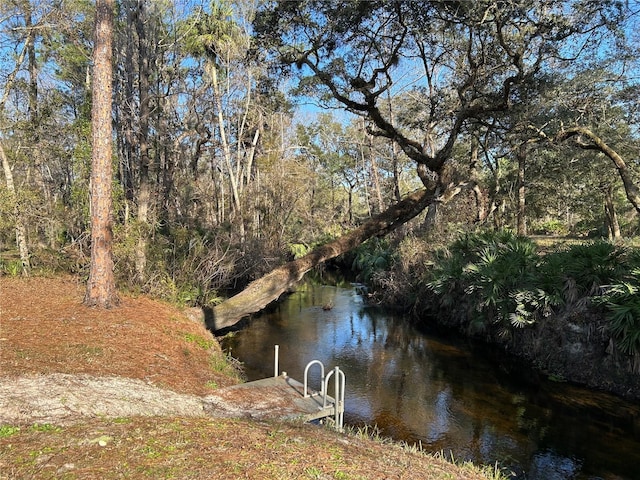 view of water feature featuring a boat dock