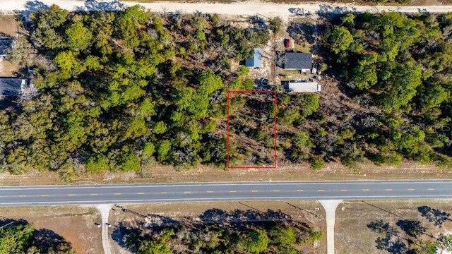 00 NE State Road 121, Williston FL, 32696 land for sale