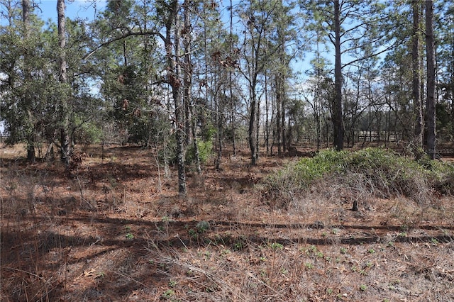 2251 NW Buena Vista Rd, Dunnellon FL, 34431 land for sale