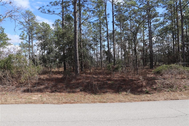 Listing photo 2 for 2251 NW Buena Vista Rd, Dunnellon FL 34431