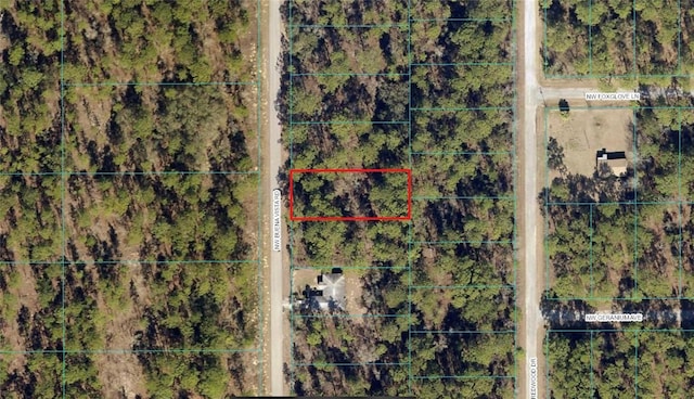 00 SW Buena Vista Rd, Dunnellon FL, 34431 land for sale