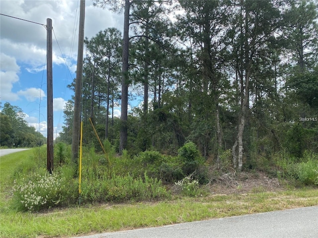 Listing photo 2 for 00 SW Buena Vista Rd, Dunnellon FL 34431