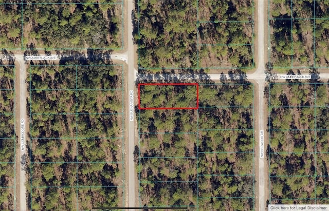 Listing photo 3 for 00 SW Buena Vista Rd, Dunnellon FL 34431