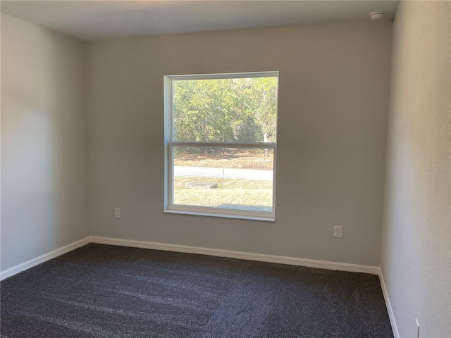 unfurnished room featuring carpet