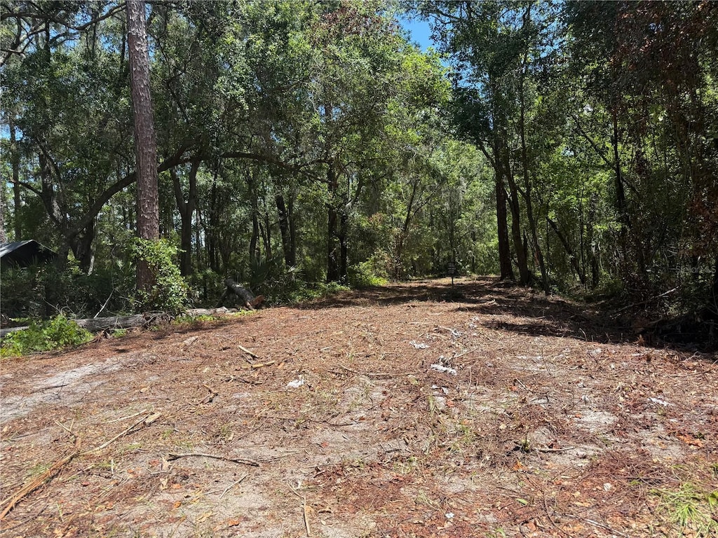 TBD NE 115th Ave, Fort Mc Coy, FL 32134