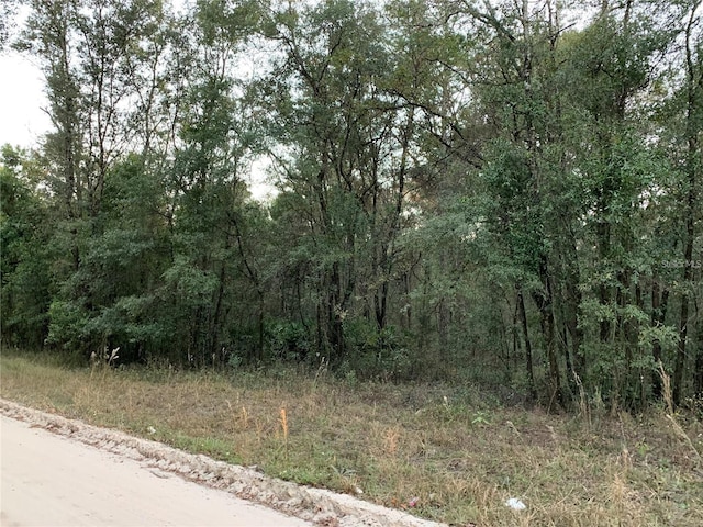 TBD NE 160th Ave, Williston, FL 32696