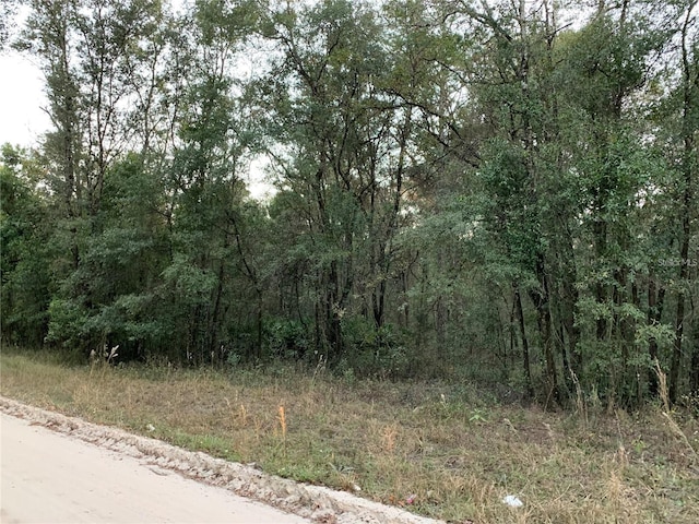 TBD NE 160th Ave, Williston FL, 32696 land for sale