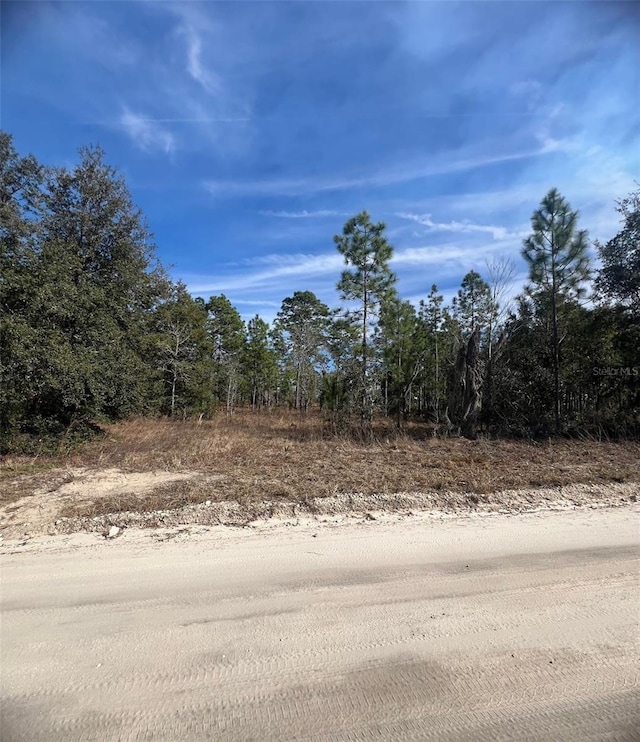 Listing photo 3 for TBD SE 185th Ter, Morriston FL 32668