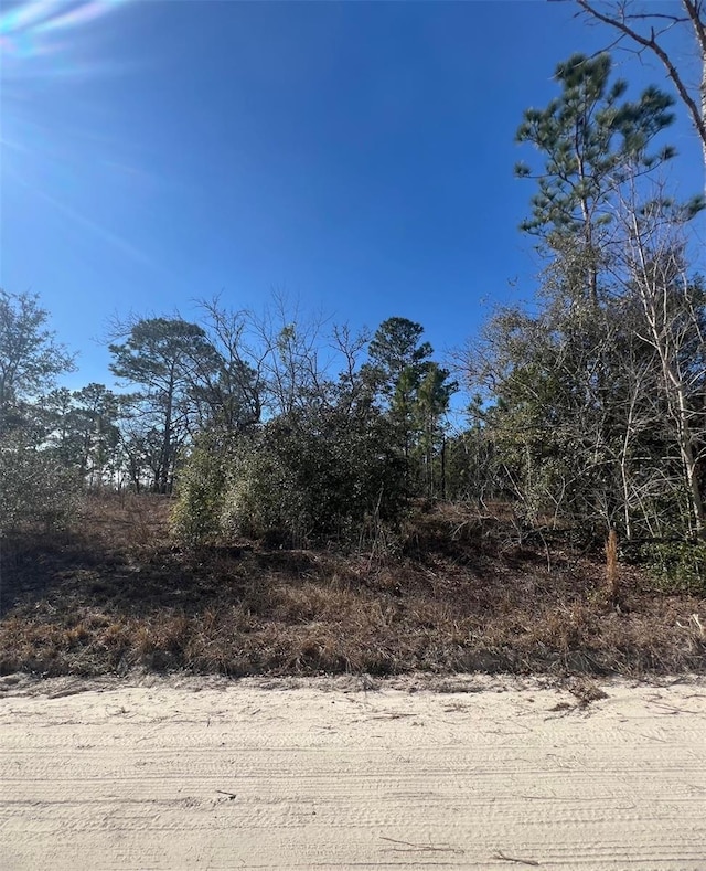 Listing photo 3 for TBD SE 186th Ter, Morriston FL 32668