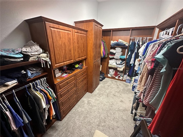 130 Harbour Cove Way, Clermont, FL 34711 - spacious closet with light carpet