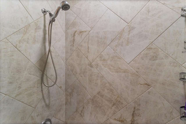 room details with tiled shower