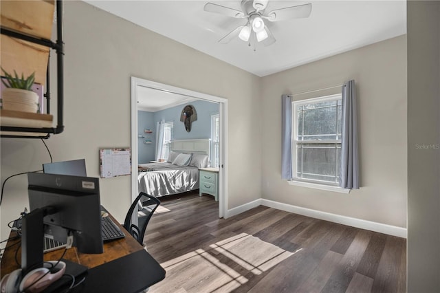 office space with dark hardwood / wood-style flooring and ceiling fan