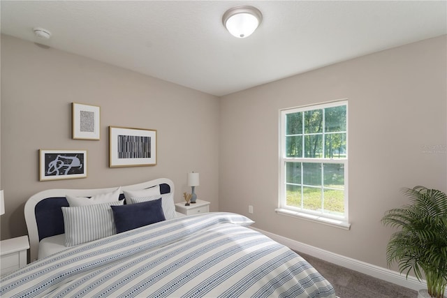 46 Malauka Dr, Ocklawaha, FL 32179 - bedroom with carpet floors and baseboards