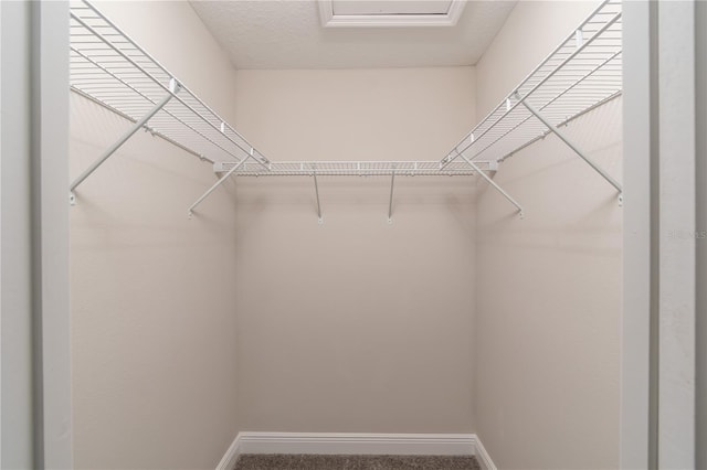46 Malauka Dr, Ocklawaha, FL 32179 - spacious closet with carpet flooring